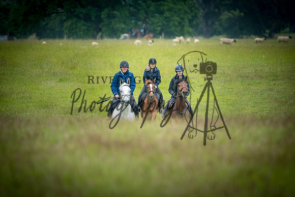 RIV_3371