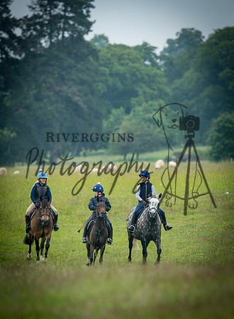 RIV_3384