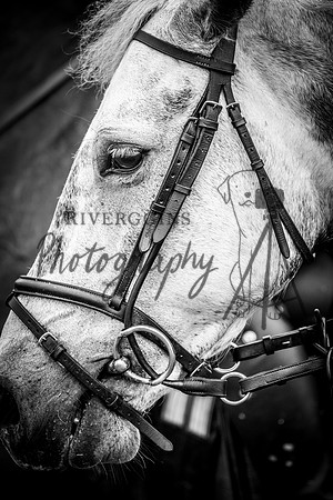 RIV_3405
