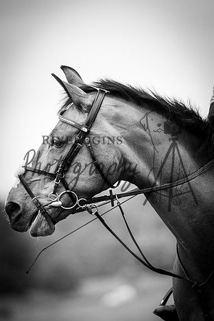 RIV_3482