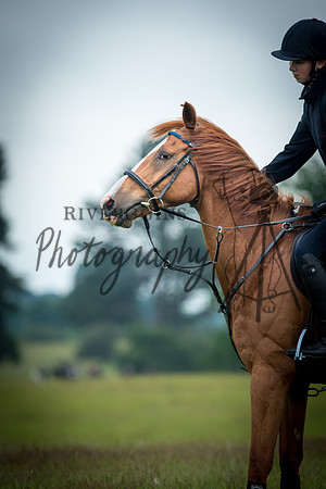 RIV_3515