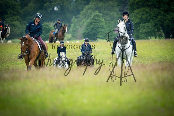 RIV_3537