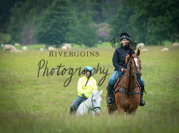 RIV_3572
