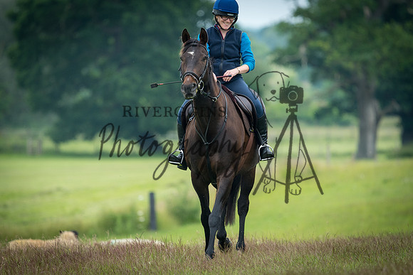 RIV_3668