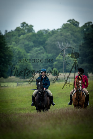 RIV_3784