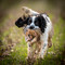 RIV_7636