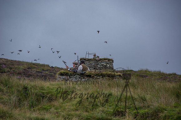 DSC_6236