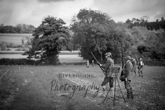 RIV_2469