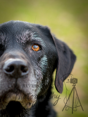 RIV_9201