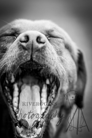 RIV_9208
