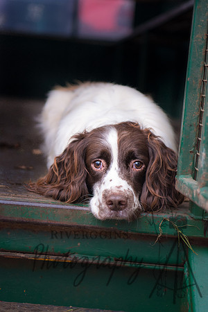Home Time?
