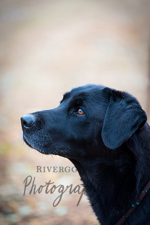 RIV_2662