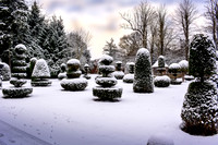 Christmas in Hampshire