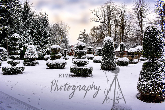 Christmas in Hampshire