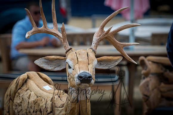 Game Fair