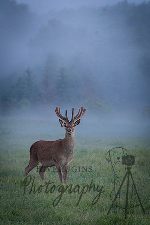 RIV_1095
