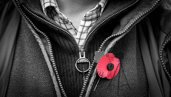 Wear the Poppy
