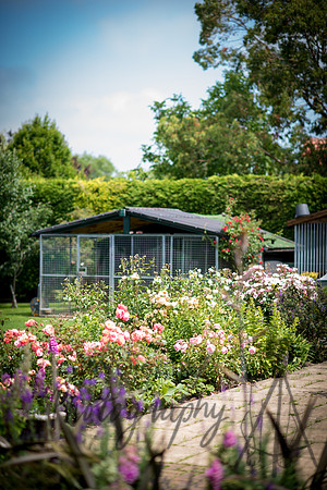 Kennels
