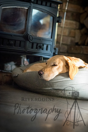 Nap Time