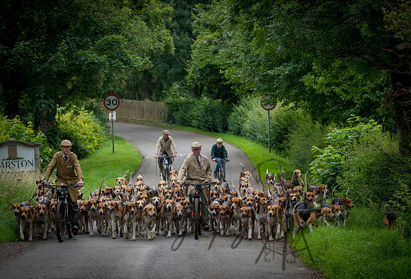 Hounds & Bike 3