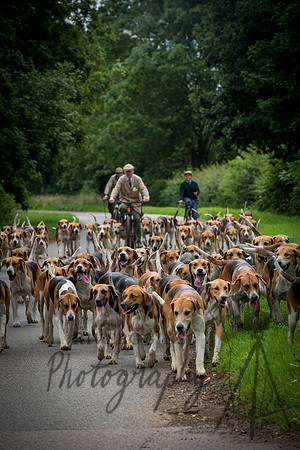 Bike and Hounds