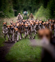 Belvoir Hounds Morning Routine