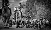 RIV_2569