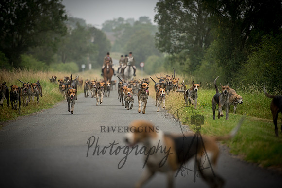 RIV_2617