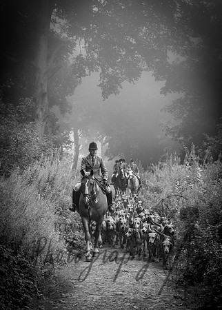 RIV_2754