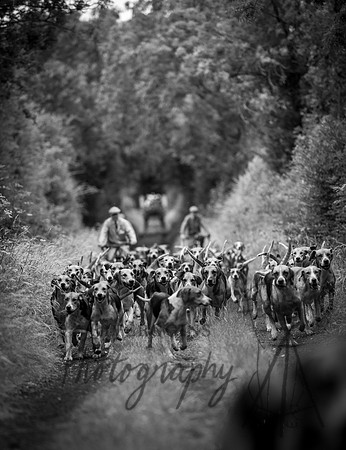 RIV_1146