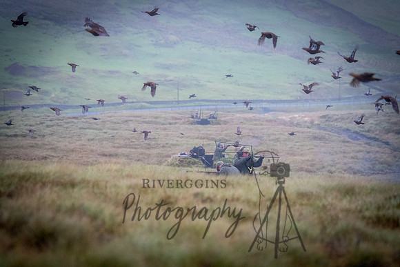 RIV_3804